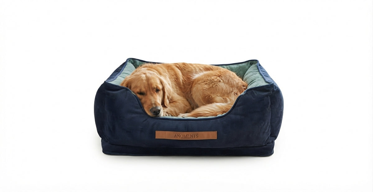 Cama Premium Tela Azul 90x65x32 cm